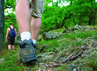 Randonnee en foret dans la Drome